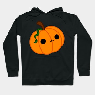 Pumpkin Hoodie